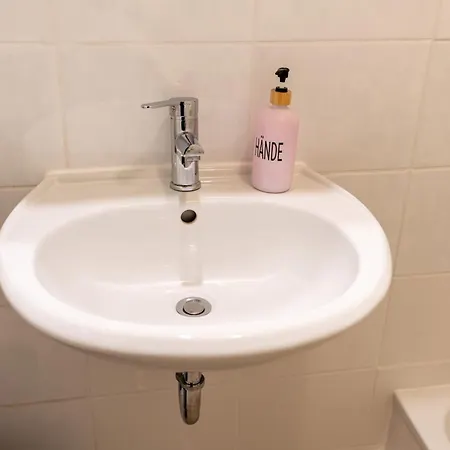 Rheinmeetsmosel Rheinufer Deutsches Eck *