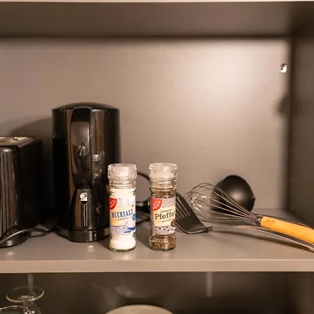 Rheinmeetsmosel Rheinufer Deutsches Eck * Koblenz (Rhineland-Palatinate)