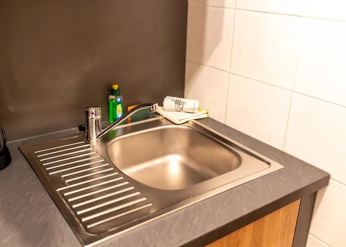 アパート Rheinmeetsmosel Rheinufer Deutsches Eck コブレンツ